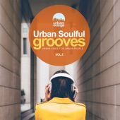 Urban Soulful Grooves Vol.2: Urban Vibes for Urban People artwork
