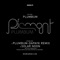 Plumbum (Dapayk Remix) - Piemont lyrics