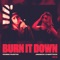 Burn It Down artwork