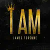 I Am (feat. Deborah Carolina) [Radio Edit] - Single album lyrics, reviews, download