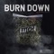 Burn Down (feat. Oliver Spitts) - Diztrikt Apolo lyrics