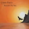 The Vision - Chris Field lyrics