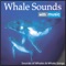 Whale Sounds With Music - Steven Snow lyrics