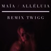 Alléluia (Remix TWIGG) - Single