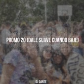 Promo 20 (Dale Suave Cuando Baje) artwork