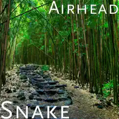 Snake - Single by Airhead album reviews, ratings, credits