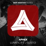 Lunatic (feat. J. Gusto) - Single
