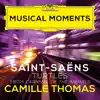 Stream & download Saint-Saëns: Carnival of the Animals, R. 125. IV. Turtles (Musical Moments) - Single