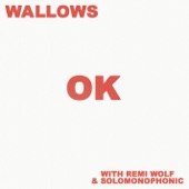 OK (with Remi Wolf & Solomonophonic) by Wallows