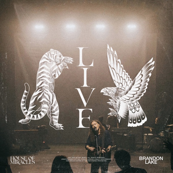 Brandon Lake - Son Of Heaven