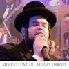 Ahavas Yisroel (feat. Blue Melody) - Single album lyrics, reviews, download