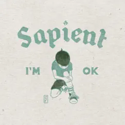 I'm Ok - Single by Sapient album reviews, ratings, credits