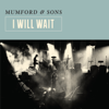 Mumford & Sons - I Will Wait artwork