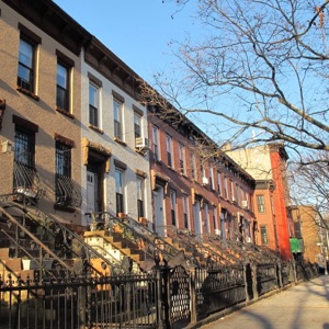 Bed-Stuy Local Podcast #1 – Mr. Perfecto Extermination & Cleaning