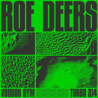 Roe Deers - Voodoo Gym - EP artwork