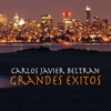 Grandes Exitos, 2008