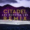 Citadel (Richey McCourt Remix) - Single album lyrics, reviews, download