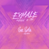 EXHALE (feat. Sia) [Pink Panda Remix] artwork
