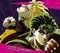 Jojo Sono Chino Sadame - tominaga tommy hiroaki lyrics