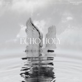 Echo Holy (Live from Littleton) artwork