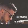 Te esperaré - Single