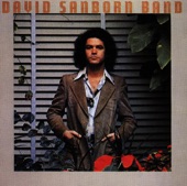 David Sanborn - Stranger's Arms