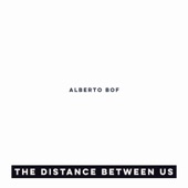 The Distance Between Us artwork