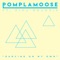 Dancing On My Own (feat. Kina Grannis) - Pomplamoose lyrics