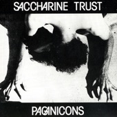 Saccharine Trust - Mad At the Co.