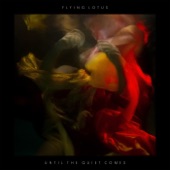 Getting There (feat. Niki Randa) by Flying Lotus