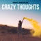 Crazy Thoughts - Vinyl Disciples lyrics