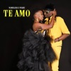 Te Amo - Single