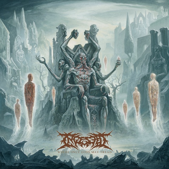 Cover artwork for Dead Seraphic Forms