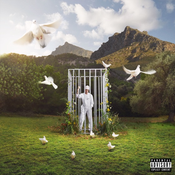 Cover artwork for Una Cumbia Triste