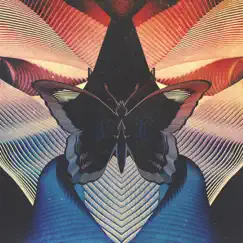 Butterfly - EP by Thornhill album reviews, ratings, credits