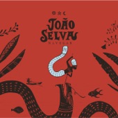 João Selva - Navegar