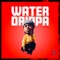 Water Drippa - Wave Cvrter lyrics