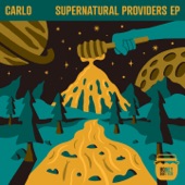 Supernatural Providers artwork