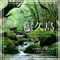 The Sound of Rain Falling in the Forest - MontoLibro Nature Sound Lab lyrics