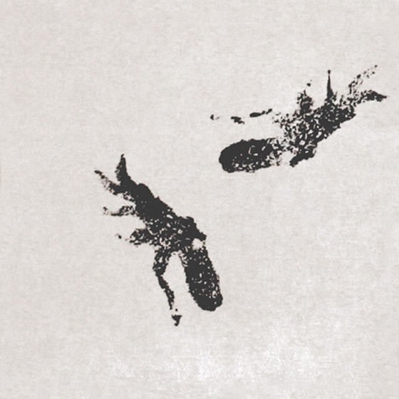 Cover artwork for Aquarium