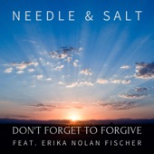 Don't Forget To Forgive (feat. Erika Nolan Fischer) artwork