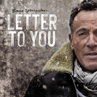 Bruce Springsteen - I'll See You In My Dreams artwork