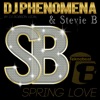 DJ Phenomena And Stevie B - Spring Love - Single