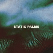 Static Palms - Palm Reader