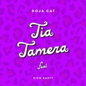Tia Tamera (feat. Rico Nasty) artwork