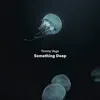 Something Deep - Single album lyrics, reviews, download