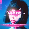 Sunnery James & Ryan Marciano - What If (feat. Hannah Ellis)