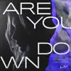 Are You Down (Consilium Remix) - Single album lyrics, reviews, download