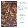 Musiques des disciplines de l'âme: Méditation 1 album lyrics, reviews, download