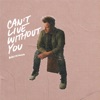 Can't Live Without You - Single